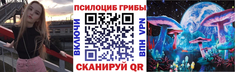 где купить наркотик  mega   Галлюциногенные грибы мицелий  Шиханы 